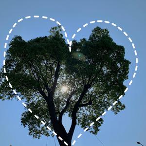 无尽❌裸体❌白丝❌3D小舞
